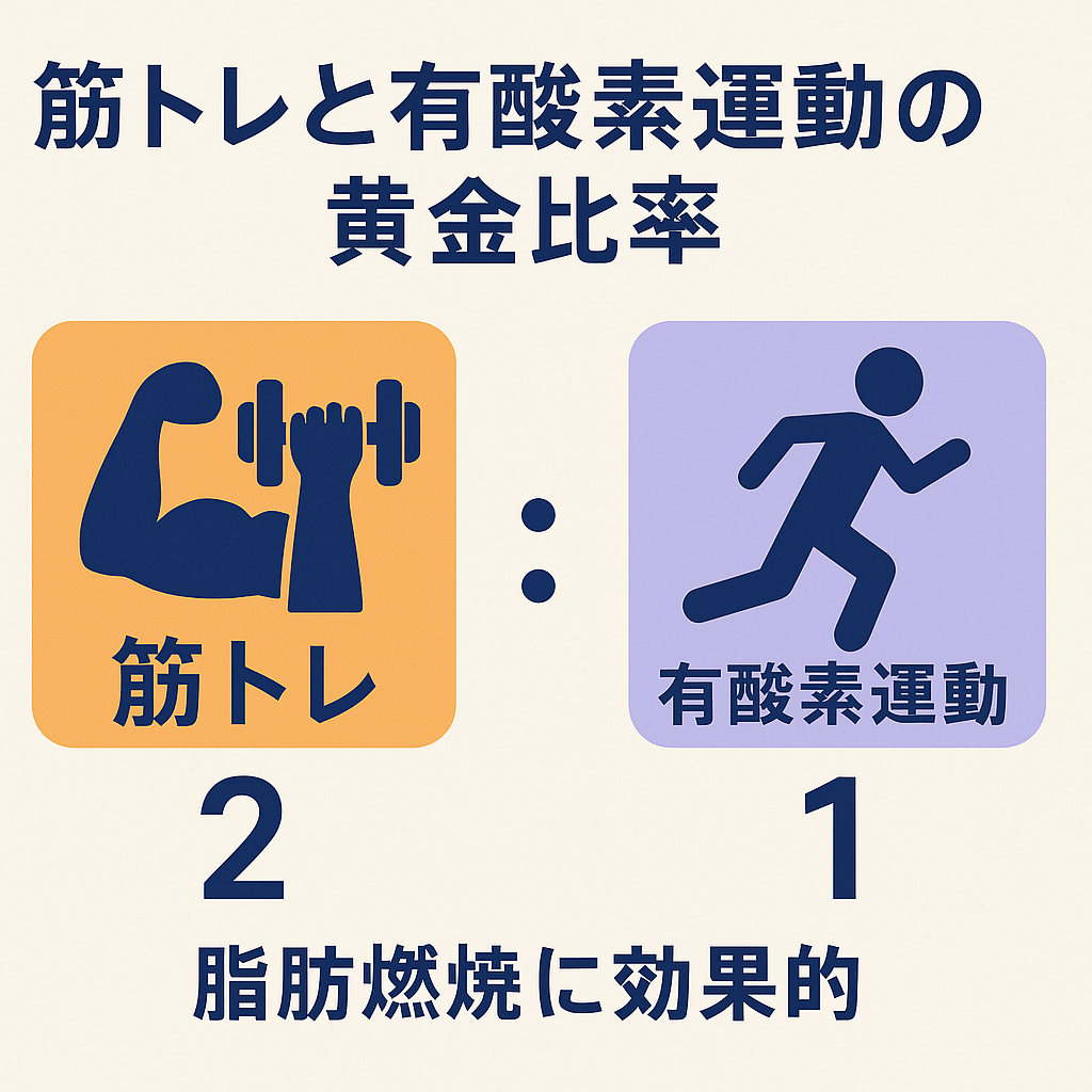 筋トレと有酸素運動の黄金比率図